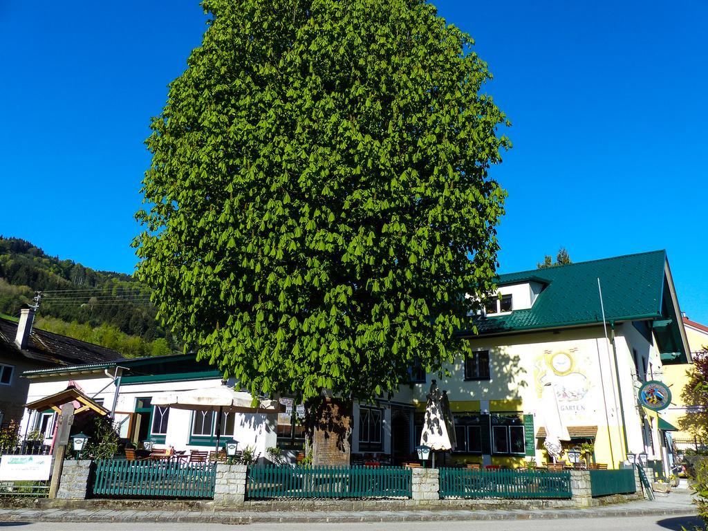 Zum Schiffmeister Wesenufer Exterior foto